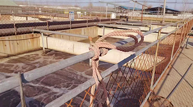 ?雷茨空气悬浮风机，让食品厂污水处理节能30%-50%